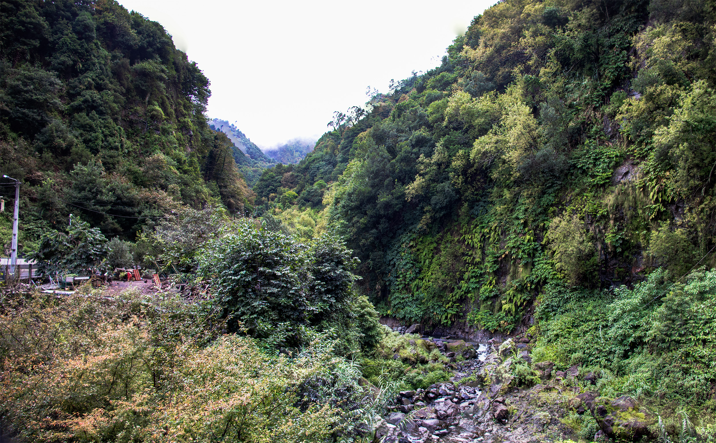 Madeira: Lombo do Urzal (05.11.22)