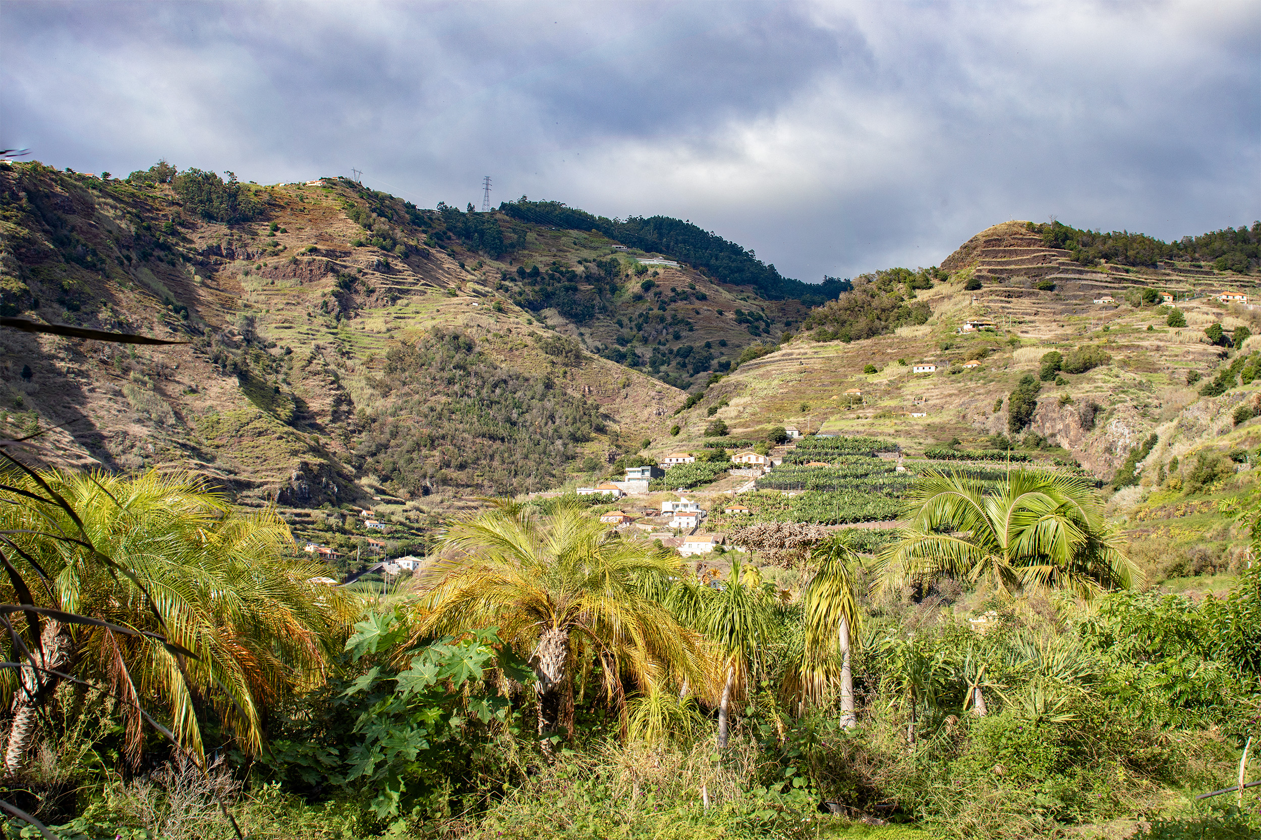 Madeira: Tabua (04.11.22)