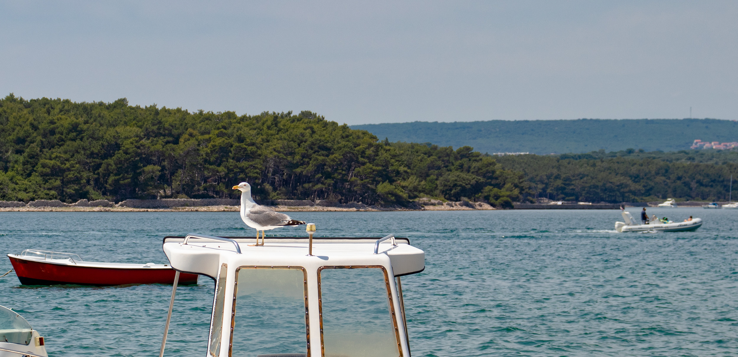 Insel Krk: Hafenstadt Punat (17.06.22)