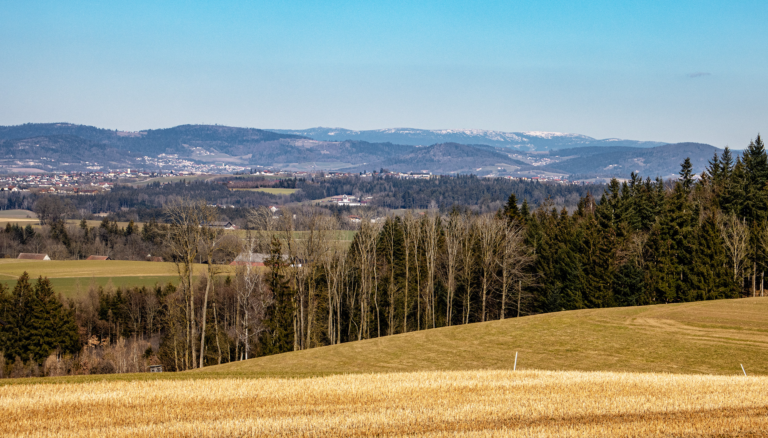 Innviertel: Stritting bei Wernstein (03.03.25)