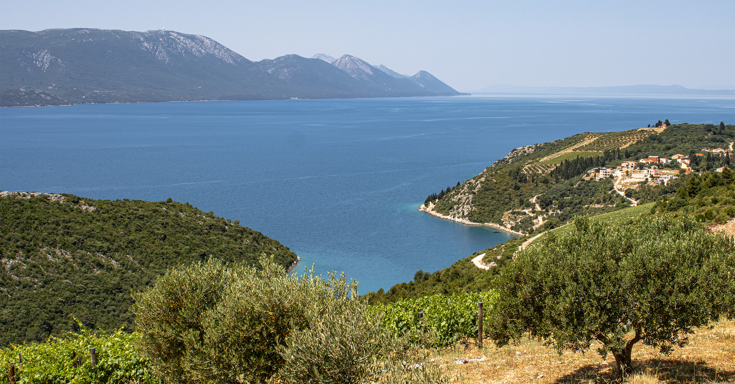 🇭🇷 Süddalmatien (HR): Rizman bei Silvno Ravno (07.06.25)