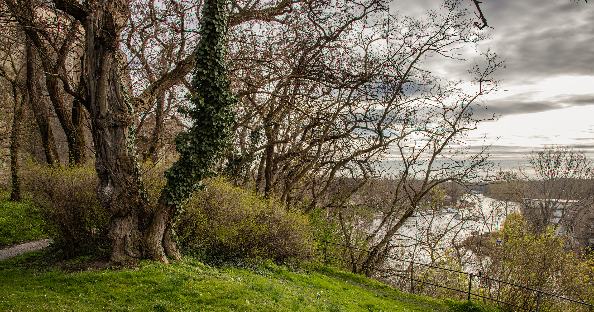 🇩🇪 Bernburg (Saale): Der Andreas-Günther-Weg am Saale-Hochufer