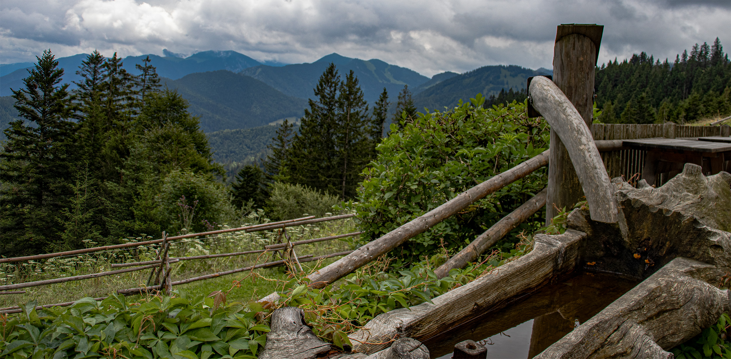 🇩🇪 Tegernsee & Schliersee: Gindelalm (12.07.24)