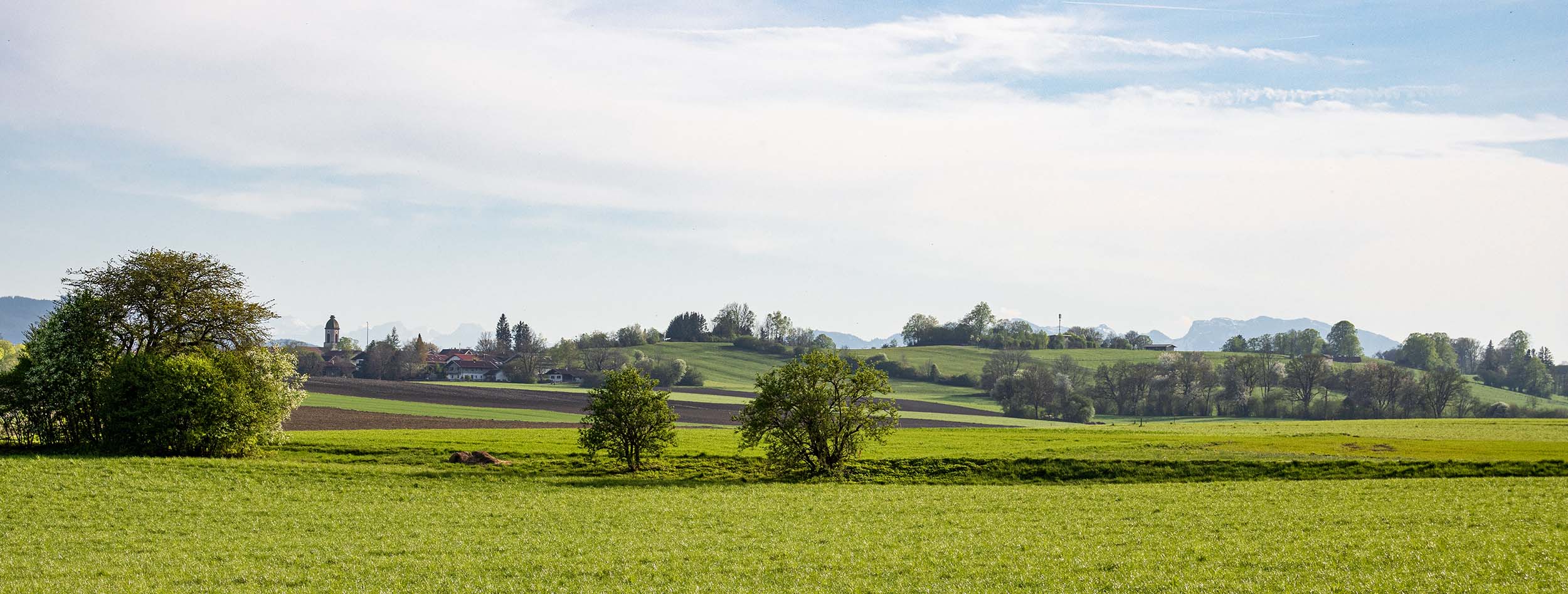 🇩🇪 Miesbacher Land: Großhartpenning bei Holzkirchen (12.04.24)