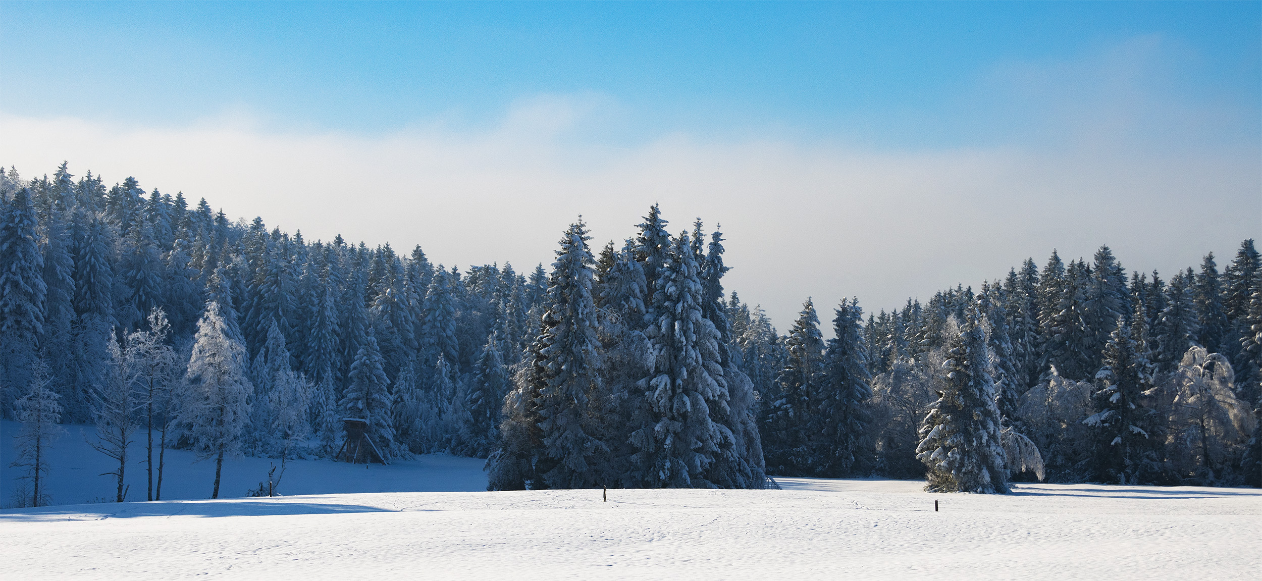 🇩🇪 Miesbacher Land: Wintermärchen vor Marienstein bei Waakirchen (11.07.24)