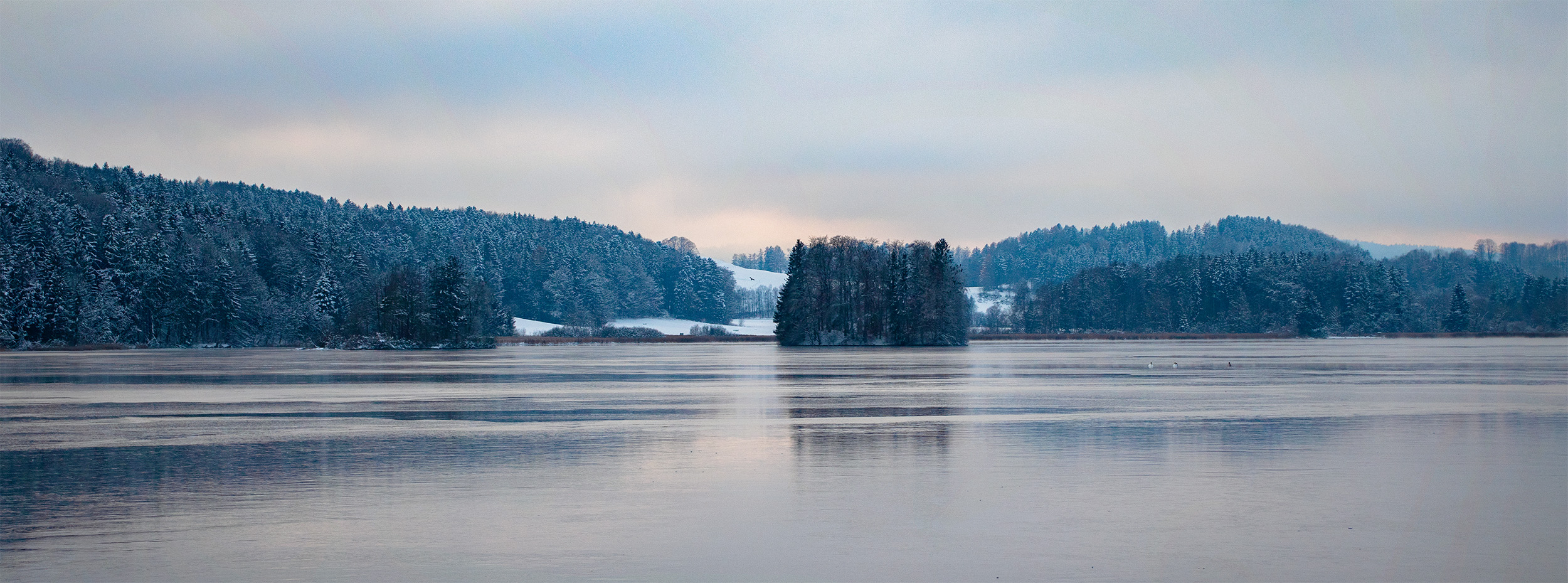 🇩🇪 Miesbacher Land: Winter am Seehamer See (13.12.22)