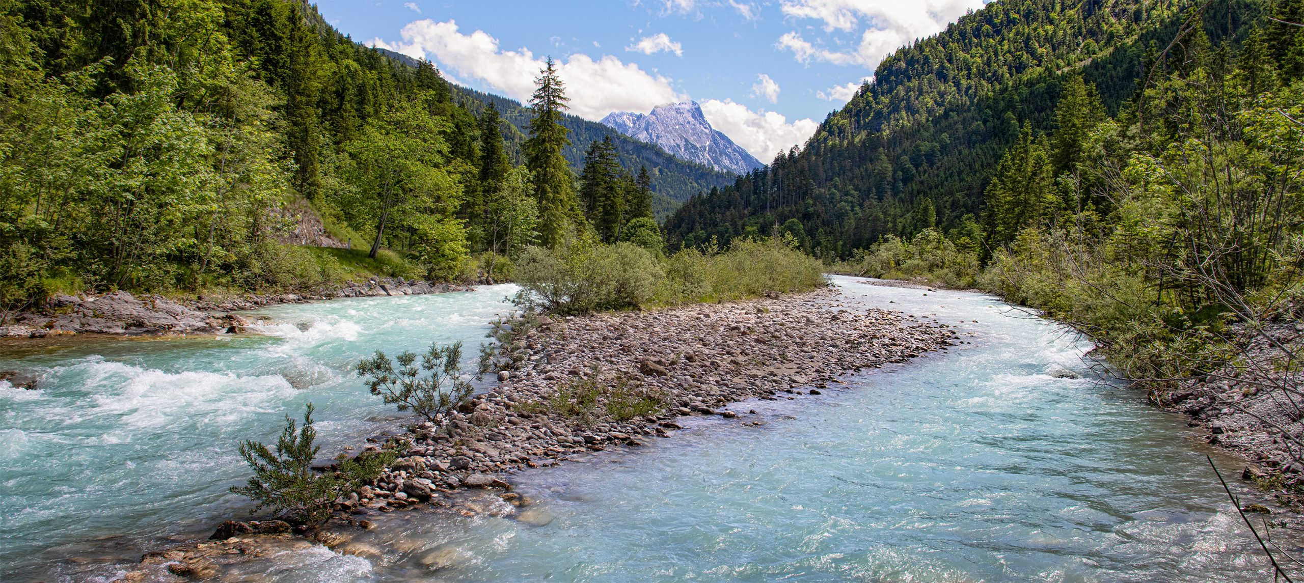 🇩🇪/🇦🇹 Karwendel (A): Sommer im Rißtal (18.06.24)