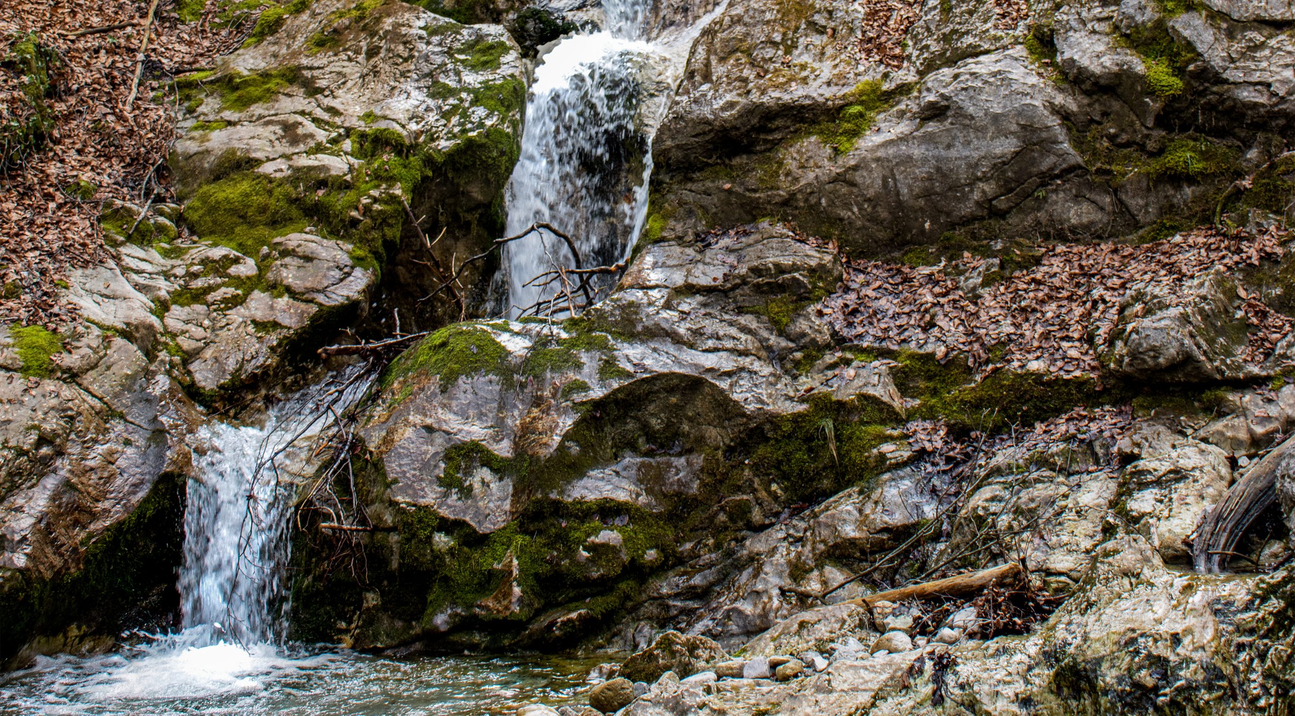 🇩🇪 Zweiseenland: Wasserfall am Kesselberg (14.02.24)