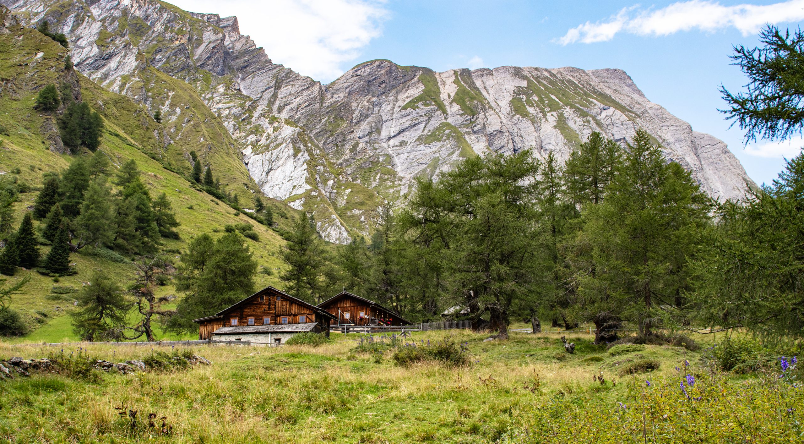 🇦🇹 Osttirol (A): Jörgenalm im Ködnitztal (16.08.26)