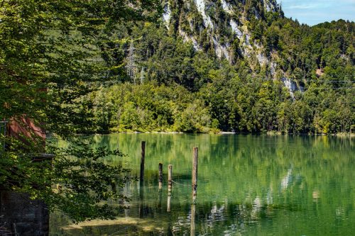 Altjoch_Kochelsee_Sommer_2 Kopie