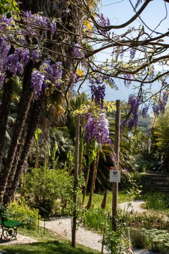 Arco_Botanischer_Garten_2 Kopie