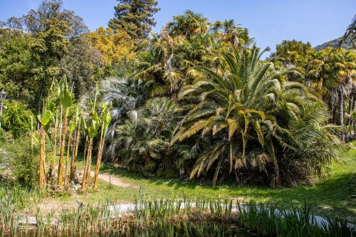 Arco_Botanischer_Garten_4 Kopie