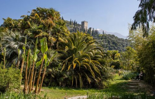Arco_Botanischer_Garten_5 Kopie