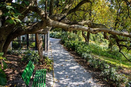 Arco_Botanischer_Garten_7 Kopie