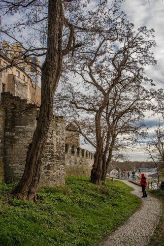 Bernburg_Schloss_3 Kopie