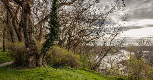 Bernburg_Schlosshang_1 Kopie