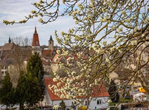 Bernburg_Schlosshang_2 Kopie
