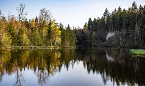 Egelsee_Frühling_3 Kopie