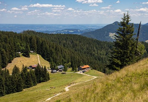 Gindelalm_Sommer_2 Kopie