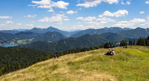 Gindelalmschneid_Sommer_3 Kopie