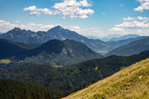 Gindelalmschneid_Sommer_4 Kopie