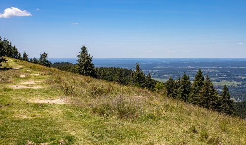 Gindelalmschneid_Sommer_6 Kopie