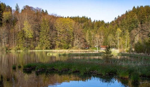Hackensee_Frühling_4 Kopie