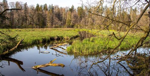 Hackensee_Frühling_5 Kopie