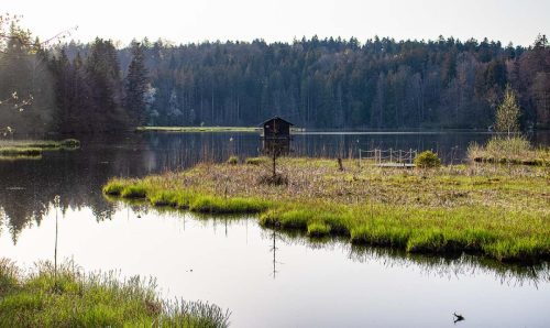 Hackensee_Frühling_7 Kopie