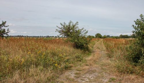 Karlshagen_Rehwiesen_3 Kopie 1