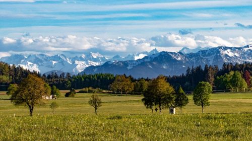 Linden_Alpenpanorama_Frühling_2