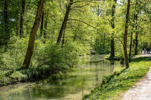 München_Englischer_Garten_3 Kopie
