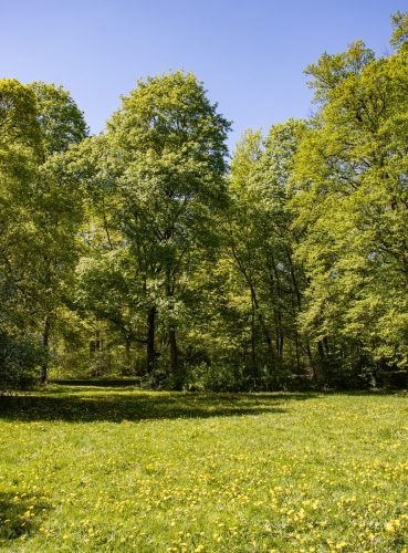 München_Englischer_Garten_4 Kopie