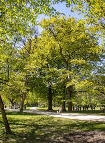 München_Englischer_Garten_6 Kopie