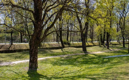 München_Olympiapark_Frühling_1 Kopie 1