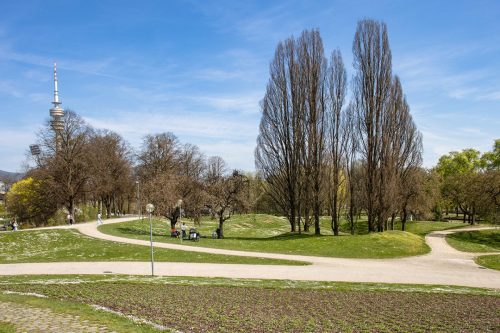 München_Olympiapark_Frühling_2 Kopie 1