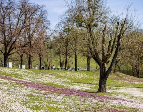 München_Olympiapark_Frühling_4 Kopie 1