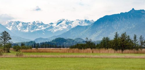 Murnauer_Moos_4 Kopie