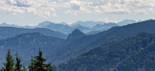 Neureuth_Sommer_1 Kopie
