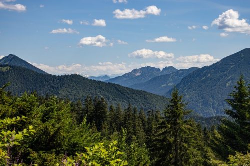 Neureuth_Sommer_2 Kopie