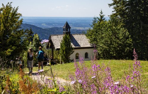 Neureuth_Sommer_3 Kopie