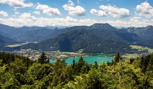 Neureuth_Sommer_5 Kopie