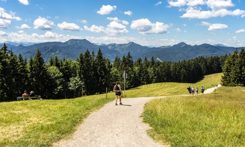 Neureuth_Sommer_6 Kopie