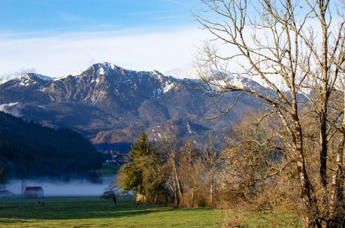 Pessenbach_Frühling_Estergebirge_1 Kopie
