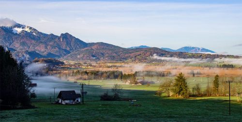 Pessenbach_Frühling_Kochelseemoore_1 Kopie