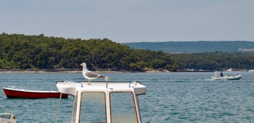 Punat_Hafen_2 Kopie