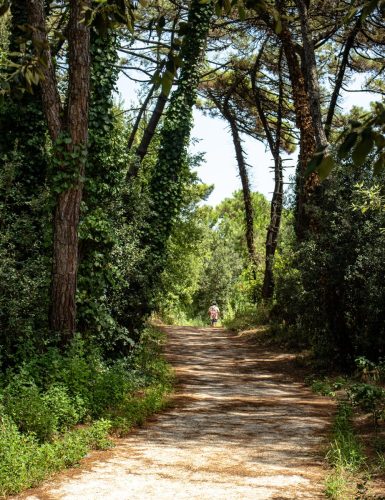 Punta_Marina_Stadt_4 Kopie