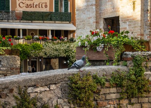Sirmione_Altstadt_Abends_3 Kopie