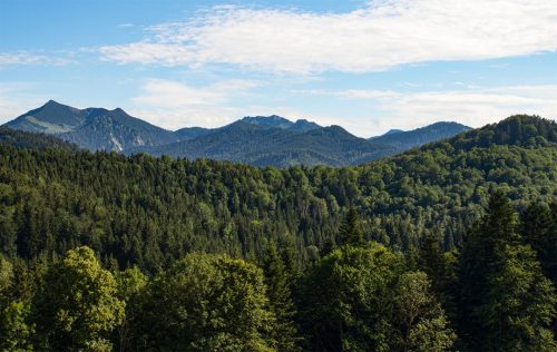 Stadlberg_Mangfallgebirge_Sommer_1 Kopie