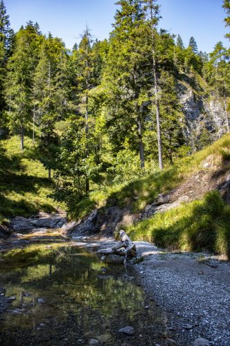 Sylvensteinspeicher_Gerstenrieder_Graben_Sommer_6 Kopie
